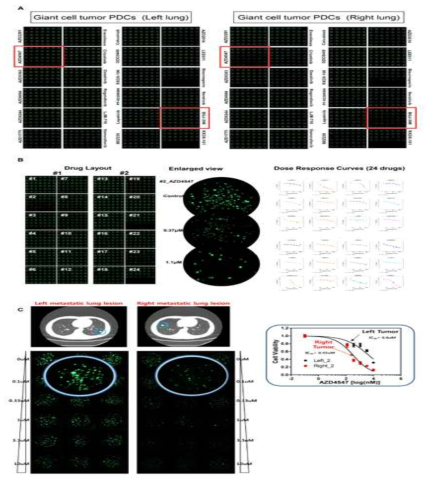 3D micropillar/microwell chip platform 을 이용하여 24 drug screening