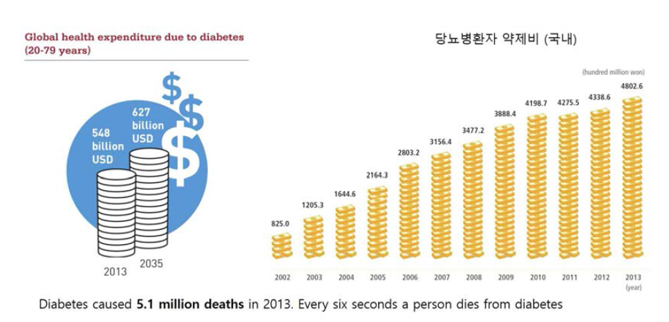 당뇨병의 사회경제적 비용