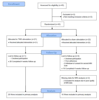 Screening, enrollment, randomization, and follow-up of study participants