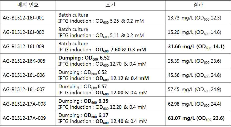 배양공정 개선조건 및 결과