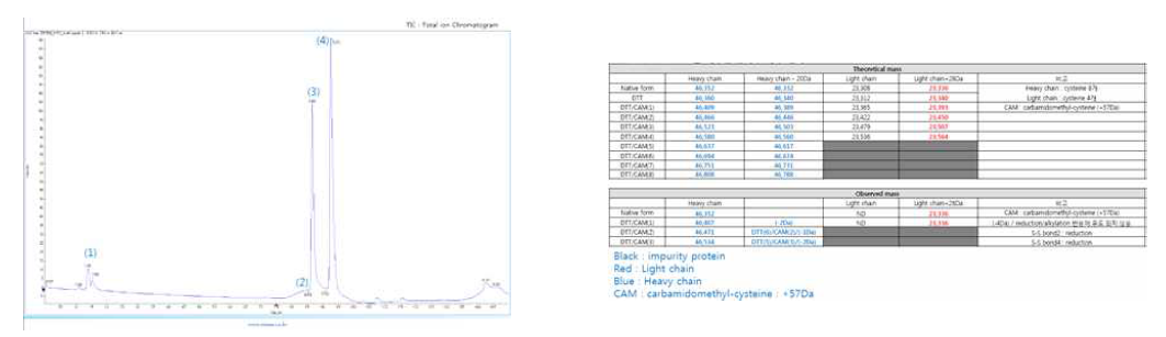 Intact Mass : 69.7 kDa, Theoretical mass & Observed mass consistent