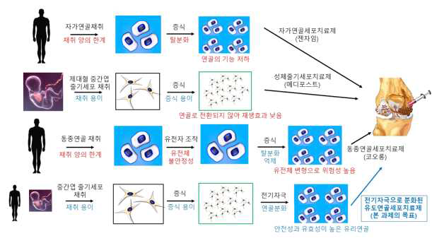 본 연구과제를 통해 개발하고자 하는 전기자극 기반의 연골세포치료제는 현재 시판 중이거나 시판 예정인 연골재생을 위한 세포치료제와 비교하여 안전성, 유효성, 용이성에서 우수한 기술임 (각 기술의 단점은 적색으로 표시, 장점은 청색으로 표시