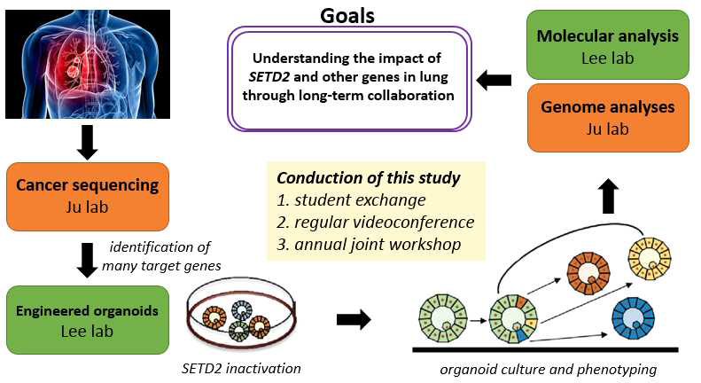 Graphical abstract of this study