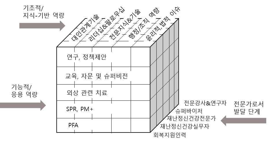 재난정신건강지원인력의 핵심 역량에 대한 Cube 모델 적용