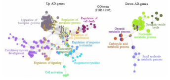 알츠하이머 치매 유전자의 기능 연관성