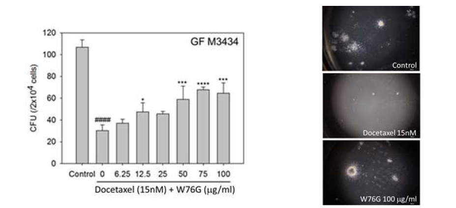 골수억제 ex vivo 모델에서 W76G에 의한 조혈모세포 CFU 회복 효과