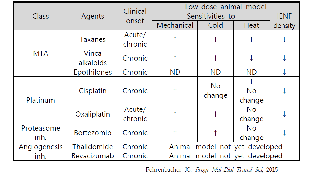 항암제 유발 말초신경병증 동물모델과 임상적 증상과의 유사성