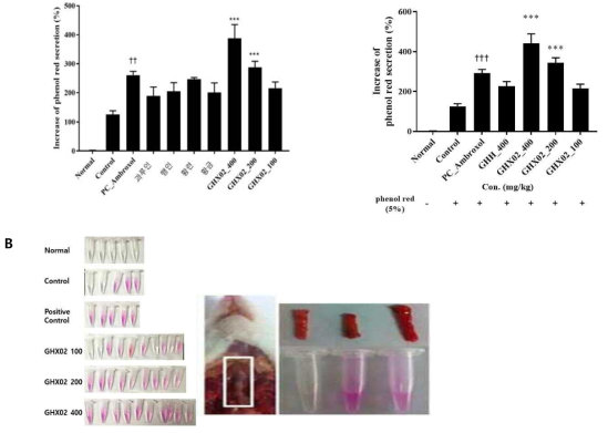 Increase of GHX02 on phenol red secretion of in ICR mice. ICR mice were divided into ten groups (n=10–12 per group), and were orally administered saline, ambroxol (250 mg/kg/day), composition herb or GHX02 (100, 200, 400 mg/kg/day)