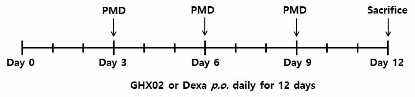 Experimental schedule for the PM10 plus DEP (PMD) induced mouse model