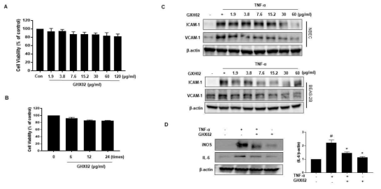 GHX02 inhibited TNF-α-induced inflammatory mediator production in NHBE cells