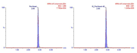 Paclitaxel(좌, RT 2.85 min)과 paclitaxel-d5 (우, IS, RT 2.85 min)의 크로마토그램