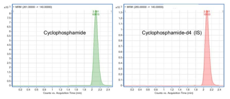 Cyclophosphamide (좌, RT 2.091 min)과 cyclophosphamide-d4 (우, IS, RT 2.081 min)의 크로마토그램