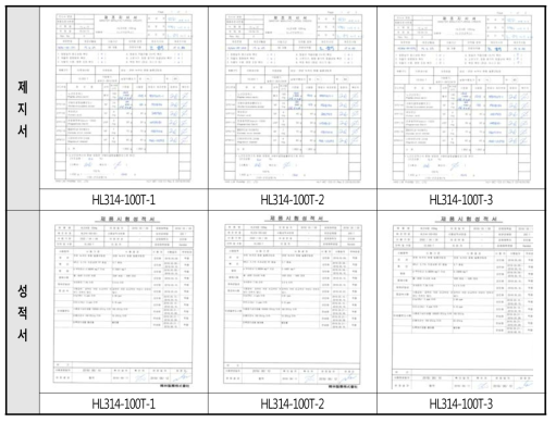 HL314정 100mg의 제지서 및 성적서