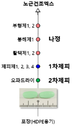 제형 제조공정