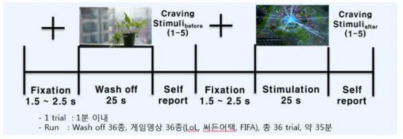 실험 프로토콜