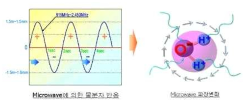 마이크로웨이브에 의한 물분자 반응 및 파장변화