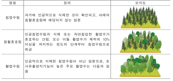 임종의 구분