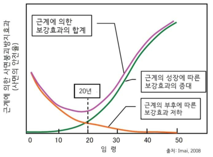 인공림에서 벌채 후 재조림할 경우 근계에 의한 사면보강효과의 시간변화