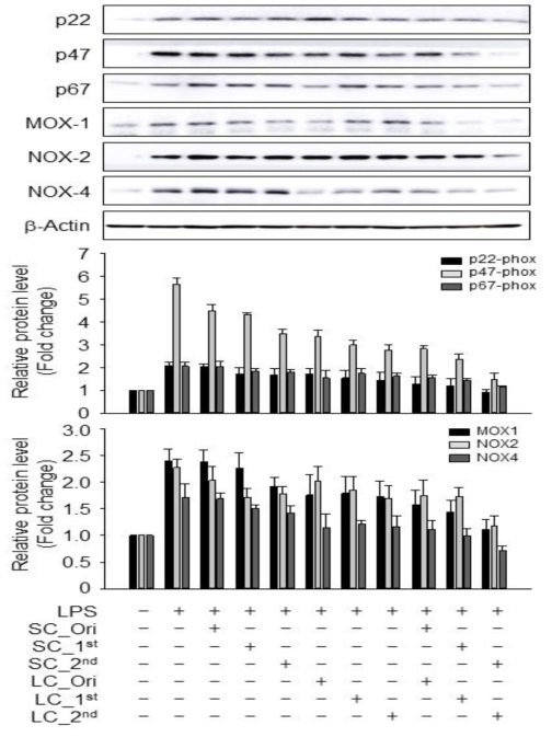 Inhibitory effects of processed Schisandra chinensis(SC) and Lycium chinense(LC) on LPS-induced NADPH oxidase signaling pathways in RAW 264.7 cells