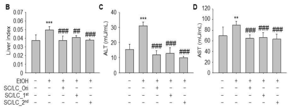 Inhibitory effects of processed Schisandra chinensis(SC) and Lycium chinense(LC) on Chronic alcoholic liver damage mice