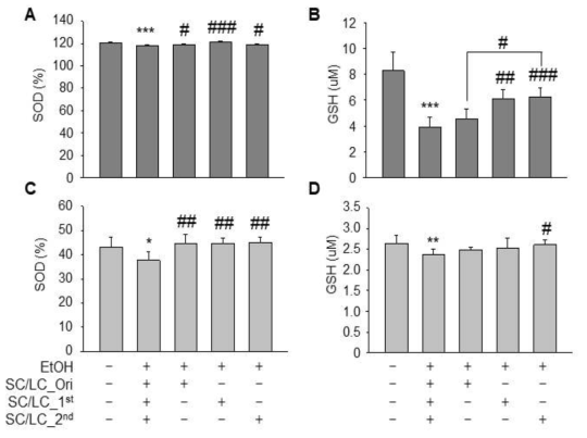 Anti-oxidant effects of processed Schisandra chinensis(SC) and Lycium chinense(LC) on Chronic alcoholic stomach and liver damage mice