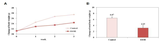 Change of body weight in Lieber-DeCarli liquid diet fed mice for 3 weeks