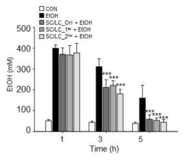 Effects of processed SC and LC mixture on relieving hangover in mice administered alcohol