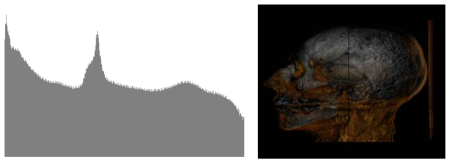 Histogram of bighead dataset(left) and its visualization(right)