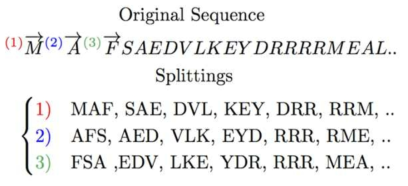 Producing 3mer sequences from a peptide sequence