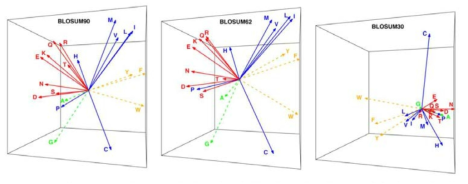 3D vector information of amino acids