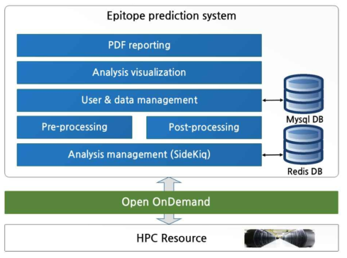 System architecture of epitope prediction system
