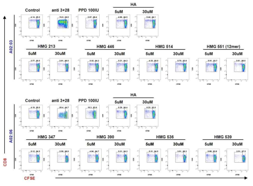 In vitro CD8+ T cell activation with the indicated treatments