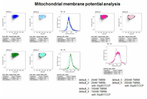 Measuring mitochondrial membrane potential-2