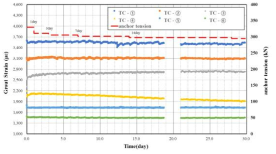 인장형 앵커 그라우트 장기계측 결과