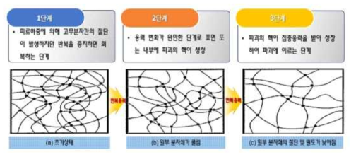 고무의 열화과정