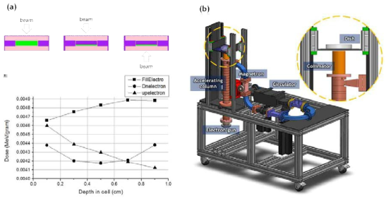 (a) 전자빔 조사 방향에 따라 깊이에 따른 방사선량 그래프. 상향조사(▲) 결과값이 다소 높은 방사선량을 보여줌. (b) 연구용 9 MeV 가속기 부품으로 조립한 상향조사시스템