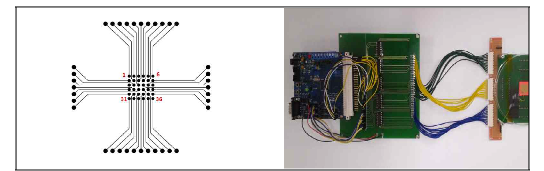 제작된 6 × 6 Multi-pixel array 센서
