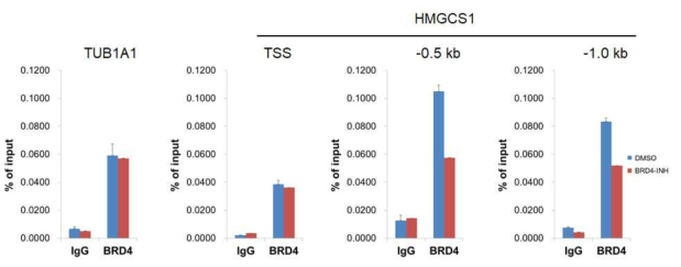대조군과 BRD4 저해제 처리군에서의 ChIP assay 분석