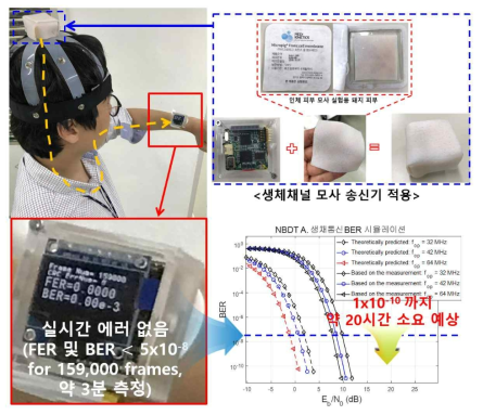 통합 FPGA프로토타입 모듈을 이용한 생체 채널에서의 BER 측정