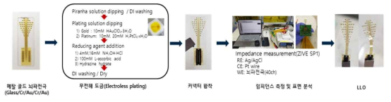 무전해 도금 뇌파전극 공정 (KIST JEE LAB. hd-EEG 디자인 적용)