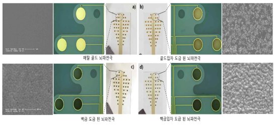 도금된 뇌파전극의 현미경 및 표면 SEM이미지