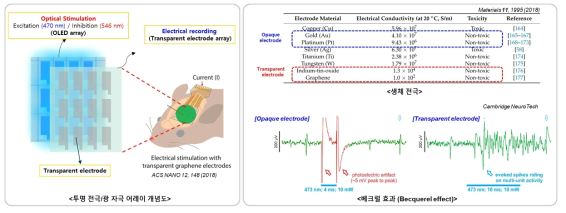 광 자극 복합 어레이 기술 개념도 (좌) 및 베크럴 효과에 의한 생체전극 신호 변화 (우) 출처: ACS Nano 12, 148 (2018), Materials 11, 1995 (2018), Cambridge Neuro Tech