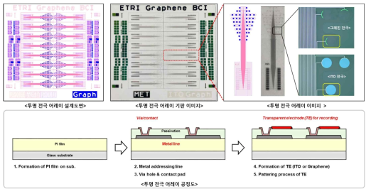 투명 뇌파 전극 어레이 설계 및 기판 이미지 (상), 공정도 (하) (KIST JEE LAB. hd-EEG 디자인 적용)