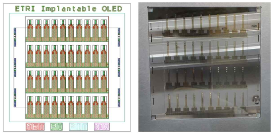 임플란터블 광자극 어레이 설계도면 및 OLED 제작 후 샘플 이미지