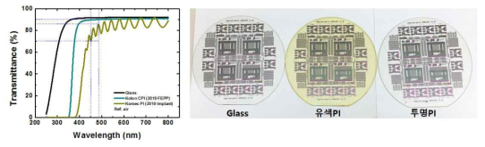 6인치 PI기판에 제작된 능동 제어 광자극 어레이 백플레인 및 TFT/픽셀 확대사진