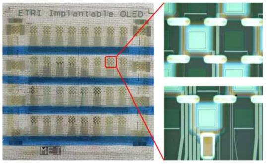 OLED/ TFE 증착 후의 복합 어레이 이미지