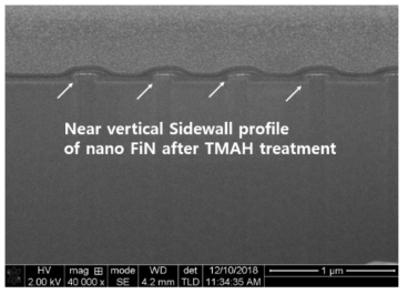 TMAH 후처리 공정 후 FIB-SEM 단면 이미지