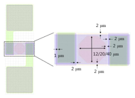 Bio-cell 소자 layout