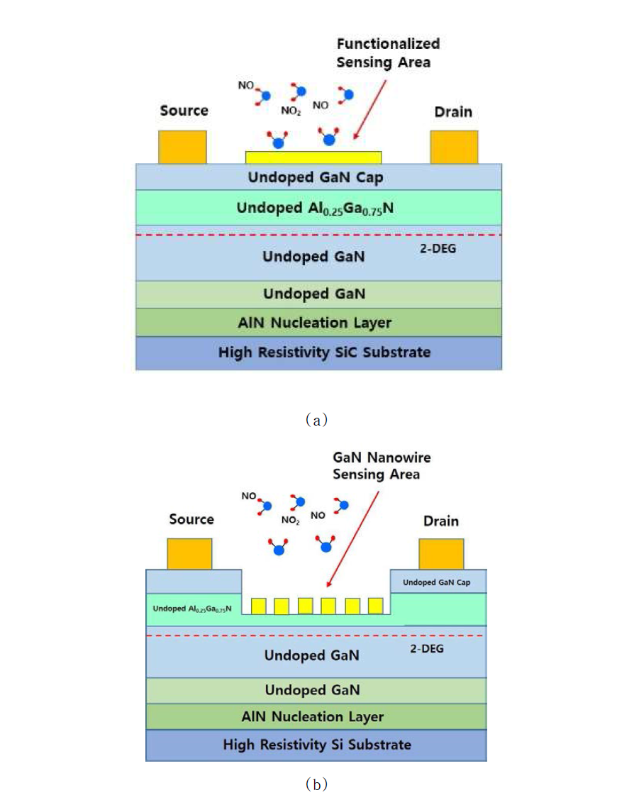 FET-type GaN 센서용 에피 구조 및 센서 소자 단면도 ((a) Planar GaN 센서 소자 단면도, (b) GaN Nanowire 구조 센서 소자 단면도)