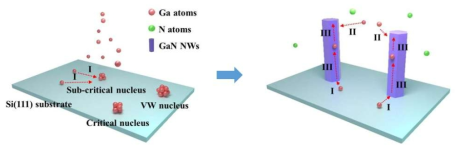 Ga pre-deposition 방식을 통한 GaN Nanowire 성장 (전북대, Han et al, ACS Appl. Mater. Interfaces 2018, 10, 38173-38182)